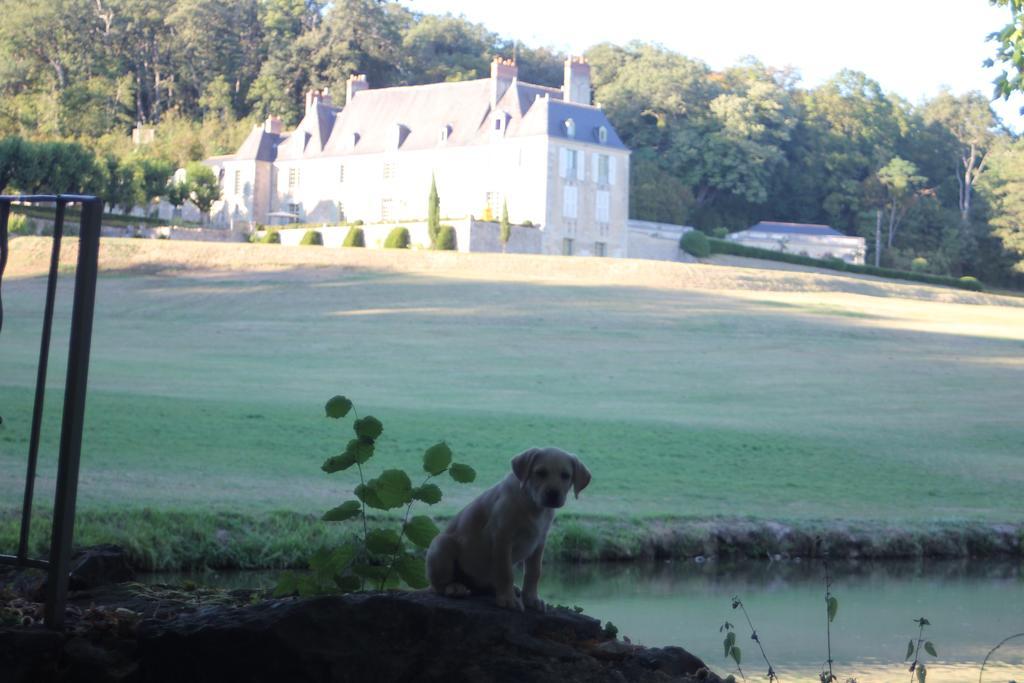 Chateau D'Hodebert Saint-Paterne-Racan Экстерьер фото